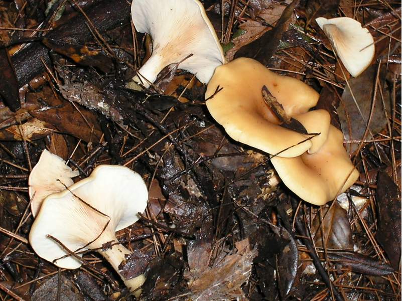 ....il seguito di domenica 2